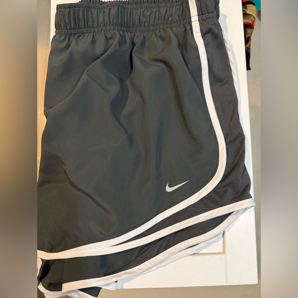 1X Nike Dryfit Shorts